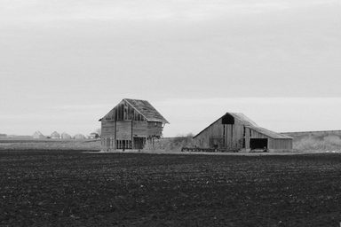 pexels-joshsorenson-59515 copy
